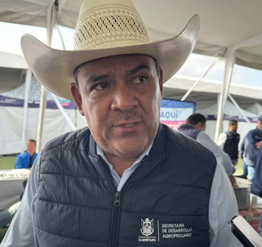 Preparan una estrategia de reforestación tras incendios