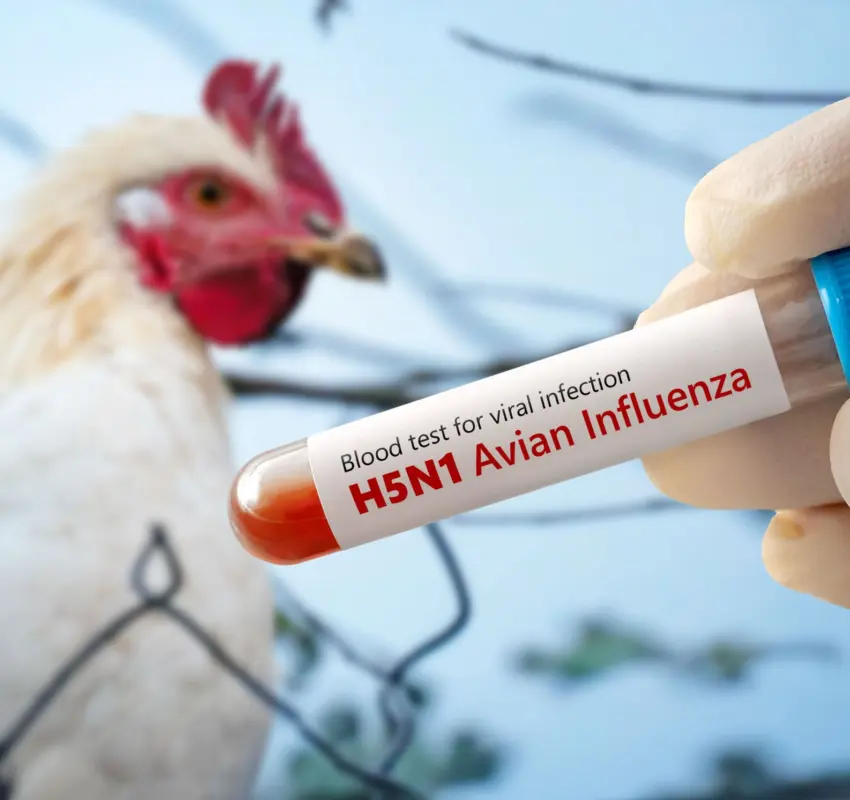 Primer caso humano de influenza aviar H5N1 en México