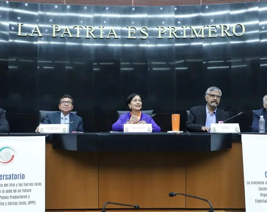 Analiza Senado crear organismo para regular el litio