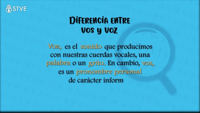 El Diccionario: La diferencia entre vos y voz