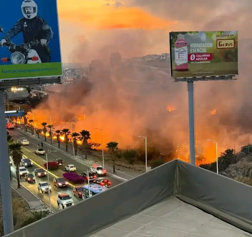 Incendio de pastizal en prolongación Constituyentes moviliza a cuerpos de emergencias