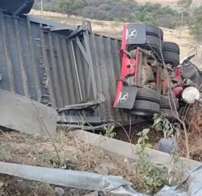 Operador de tracto pierde la vida tras colisionar contra un árbol