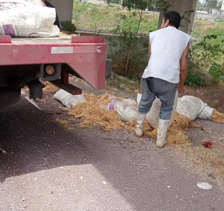 Detiene Ecatepec a cinco por arrojar basura en vía pública