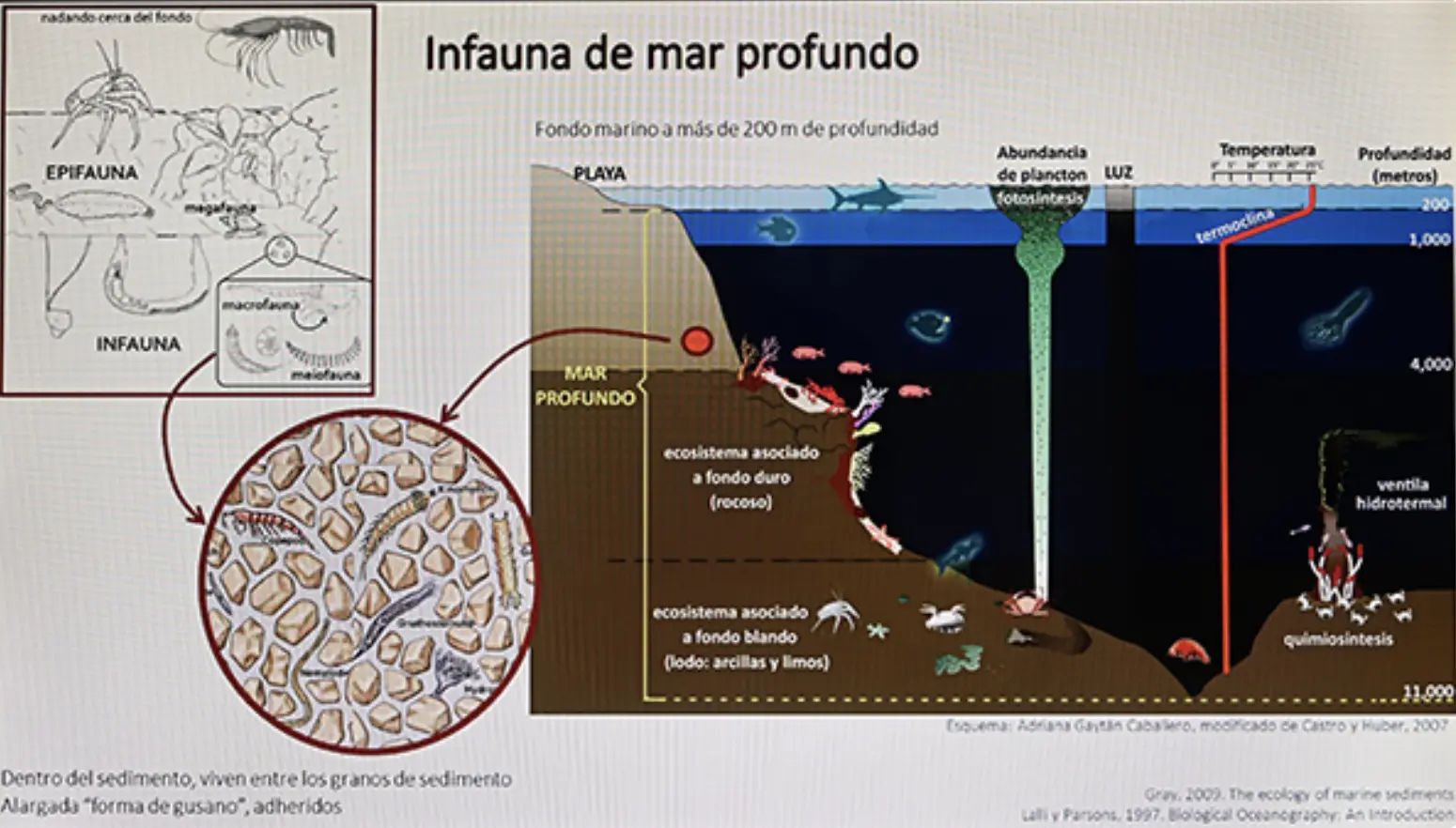 Advirtieron científicos de la UNAM sobre pérdida de especies