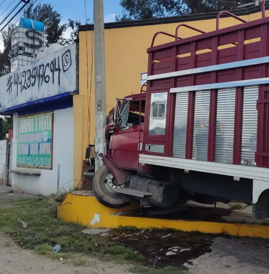 Camión cargado con plantas se estrella contra inmueble en Pedro