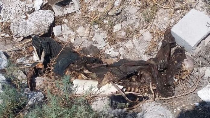 Hallan cuerpo putrefacto en un terreno ejidal | El Siglo de Torreón