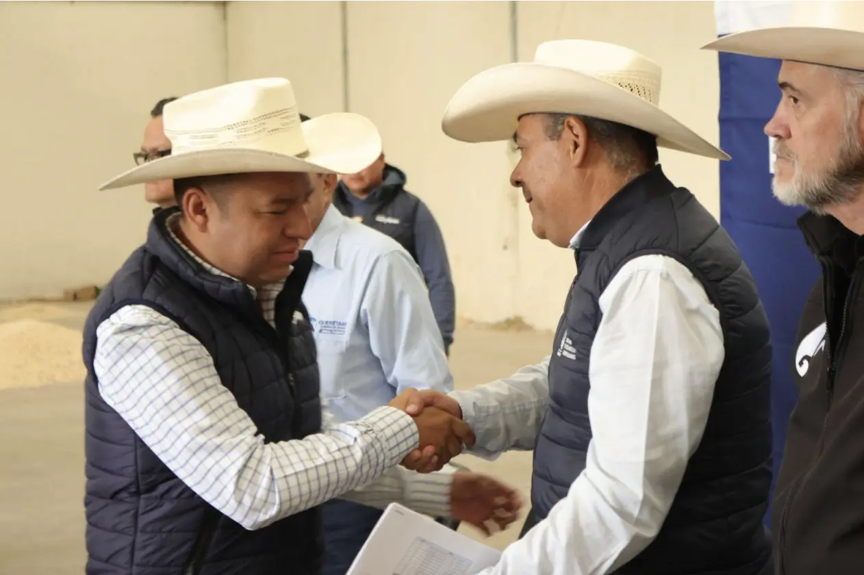 Entrega SEDEA alimento concentrado para el ganado en Huimilpan