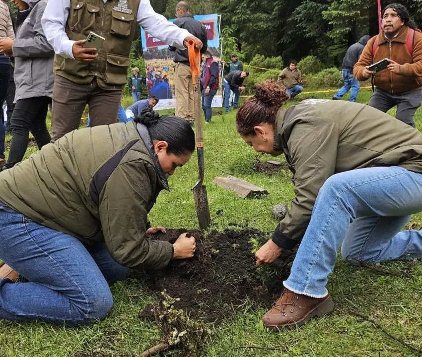 Inició reforestación en Edomex con 2 mil árboles en Jilotzingo