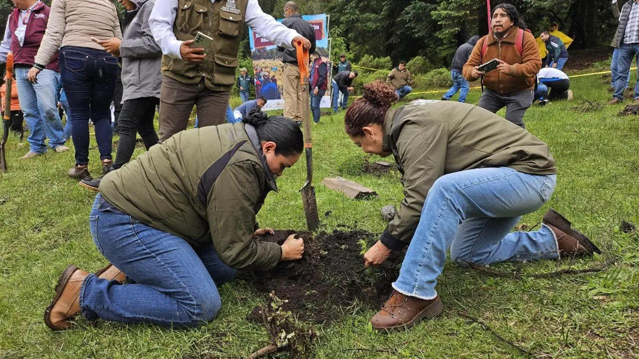 Inició reforestación en Edomex con 2 mil árboles en Jilotzingo