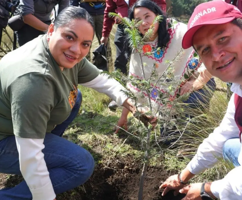Plantarán más de 450 mil árboles en 24 municipios del Edomex