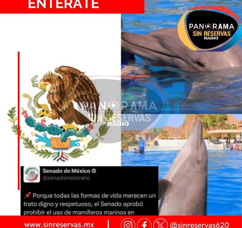 Prohibió Senado uso de mamíferos marinos en espectáculos