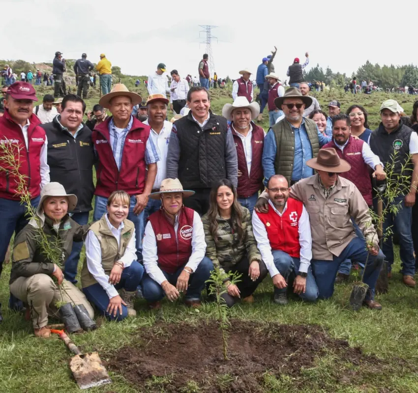 Sembrarán 6 millones de árboles en Edoméx