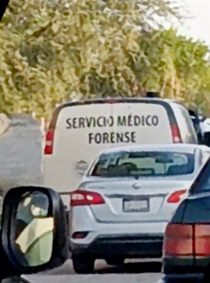 Vecinos de Prados del Rincón hallan cuerpos en estado de ...