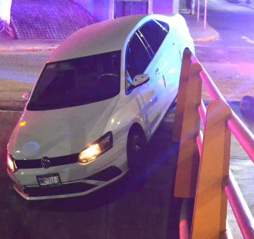 Auto se impacta contra caballo que deambulaba suelto en la carretera 69