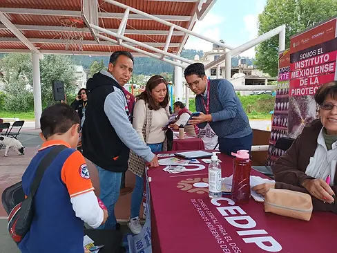Bienestar integral a pueblos originarios de Jocotitlán: GEM