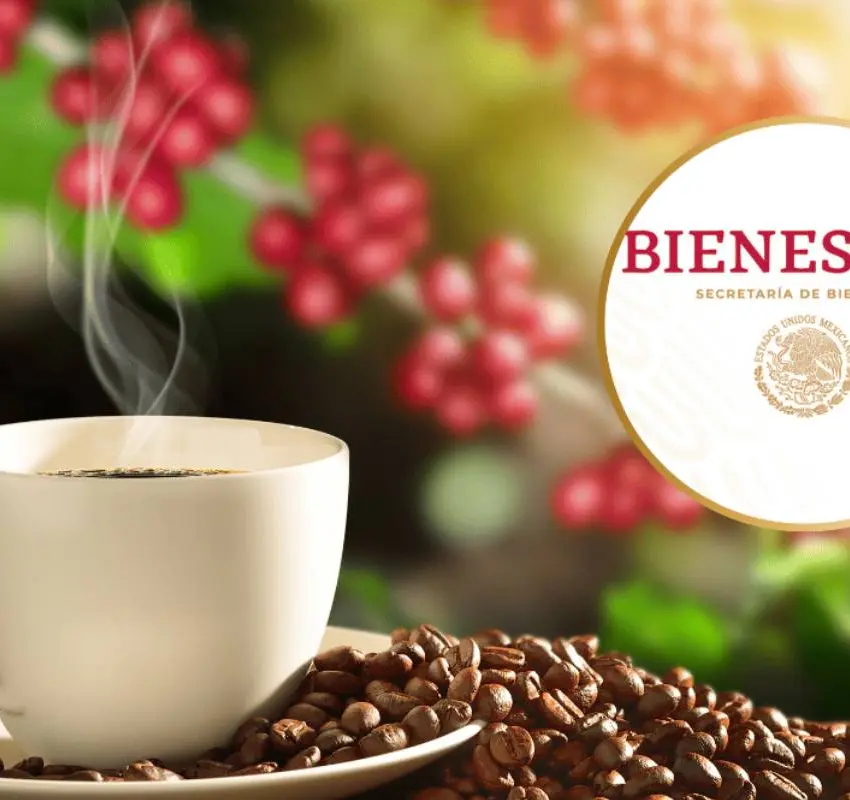 Café del Bienestar: sabor mexicano a precio justo