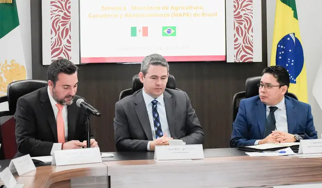 Consolidan México y Brasil comercio agrícola basado en sanidad e inocuidad