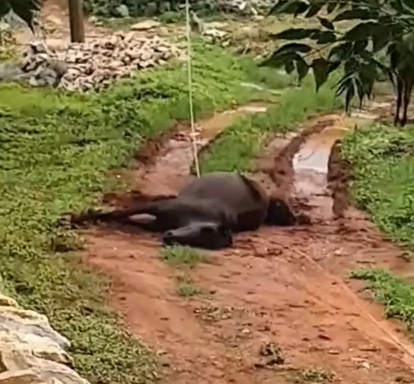 En La Tinaja de Guadalupe, Pinal de Amoles