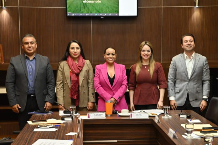 Iniciaron entrevistas para elegir titular de la Codhem - Primero ...