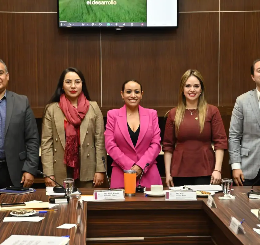 Iniciaron entrevistas para elegir titular de la Codhem