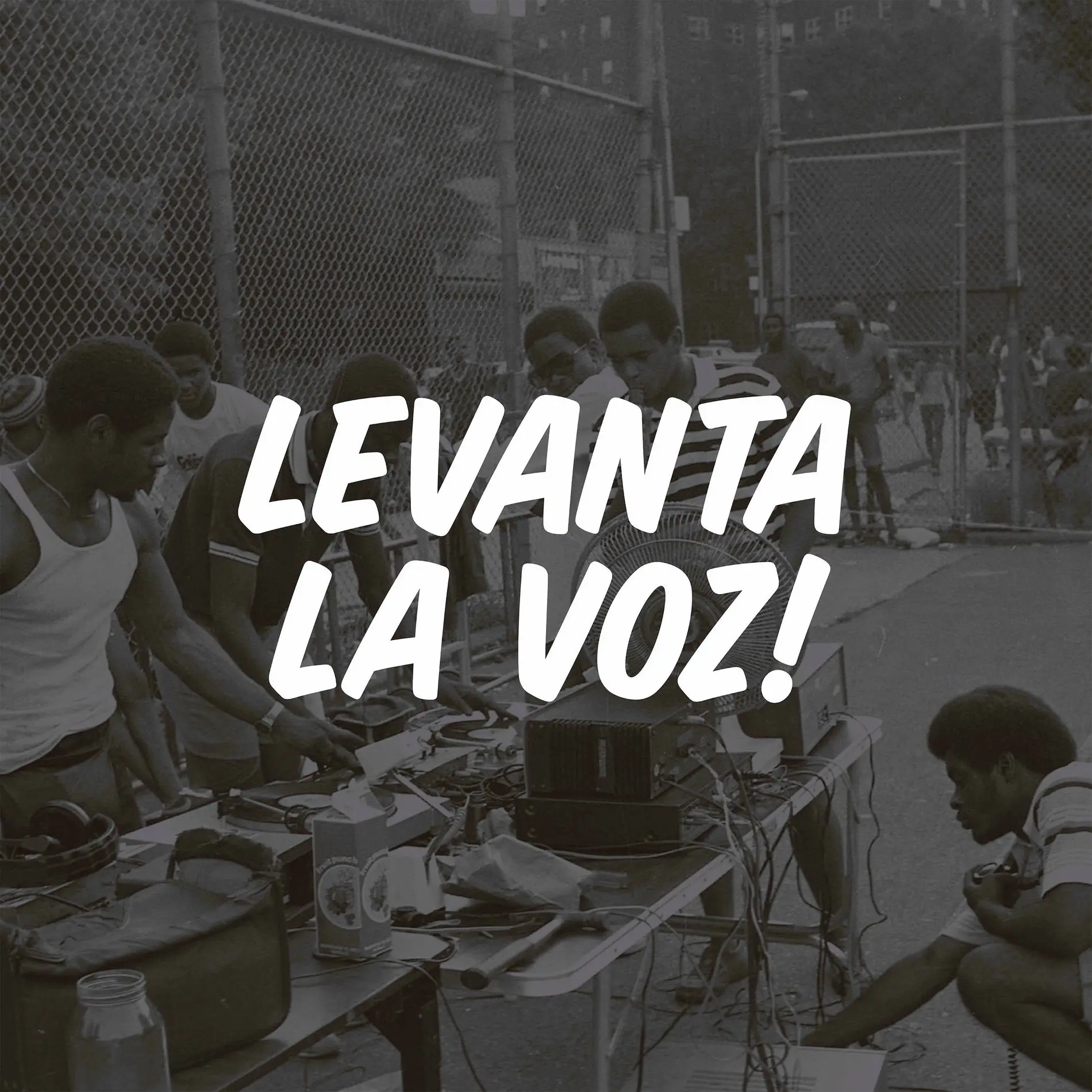 Levanta la Voz feat El Flores  Nanodoblec   Serluz | Deezer