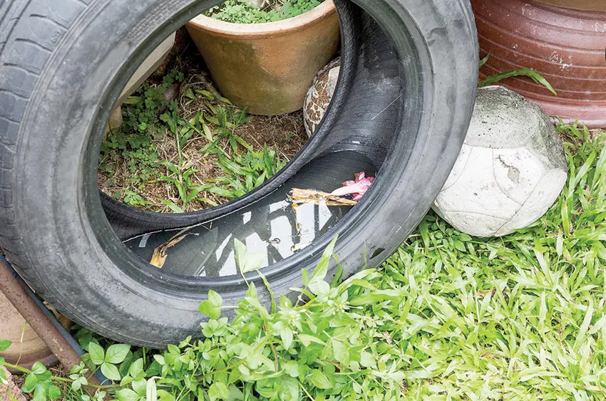 Llamó ISSEMYM a prevenir dengue, zika y chikungunya