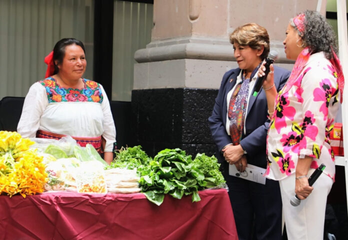 Mi Tianguis Colibrí generó 1.2 mdp para productores del Edoméx ...
