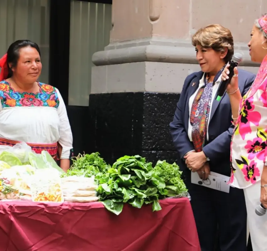 Mi Tianguis Colibrí generó 1.2 mdp para productores del Edoméx