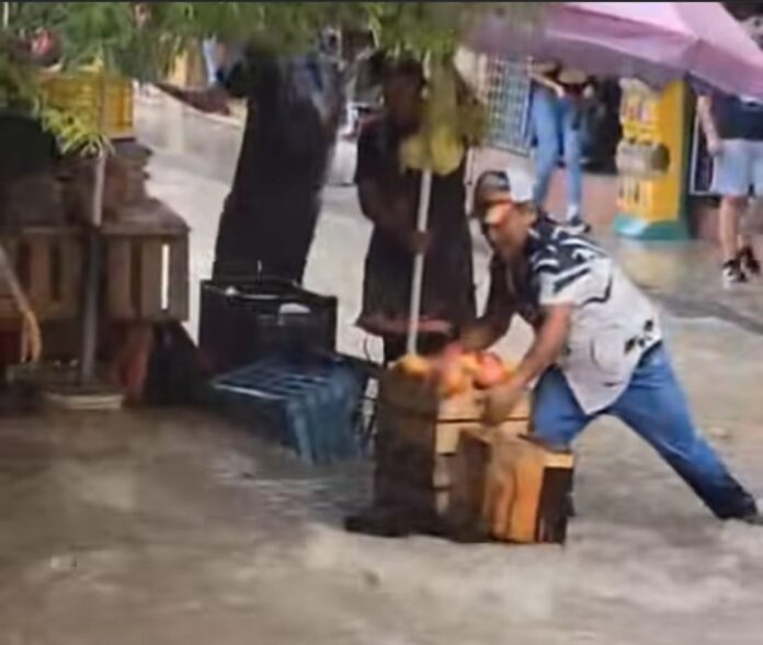 Por lluvias en municipios serranos se reportan derrumbes, árboles ...