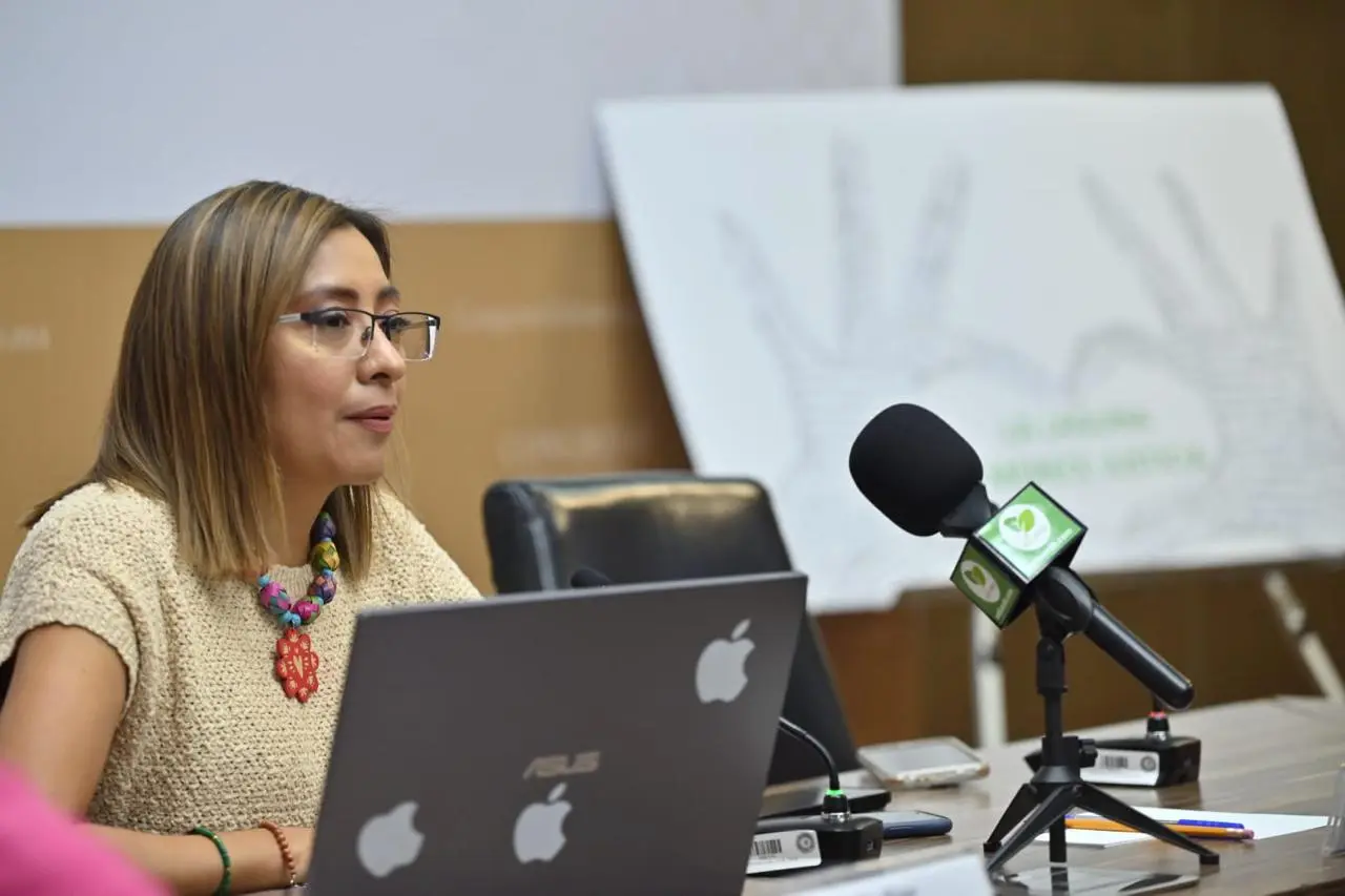 Presentó PVEM acción legal contra Ecatepec por servicios   Primero