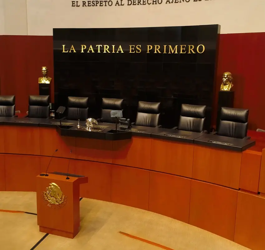 Publicó Senado convocatoria para Consejo Nacional de Búsqueda
