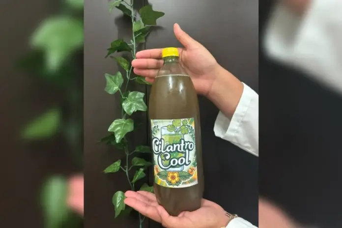 Refresco de cilantro: innovación veracruzana que transforma la ...