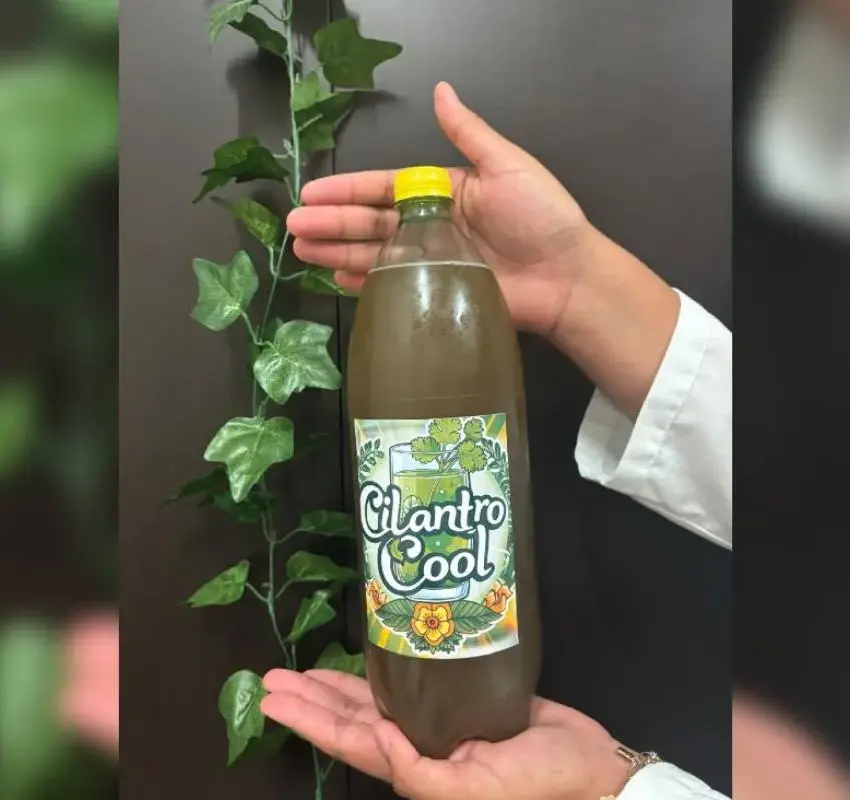 Refresco de cilantro: innovación veracruzana que transforma la tradición en salud