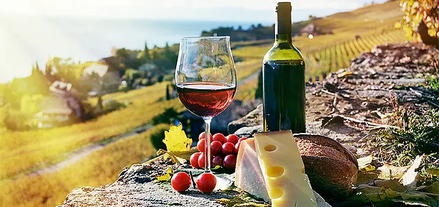 Ruta del Arte Queso y Vino