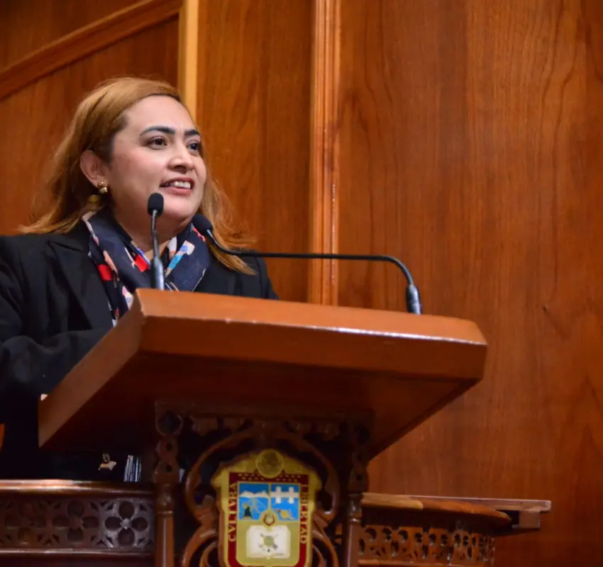 Terrenos abandonados de Neza se convertirán en desarrollo: Carmen de la Rosa