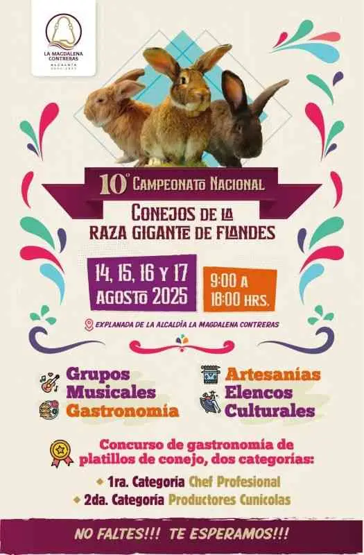 10º Campeonato Nacional del Conejo Gigante de Flandes y Feria del Conejo 2025 en La Magdalena Contreras