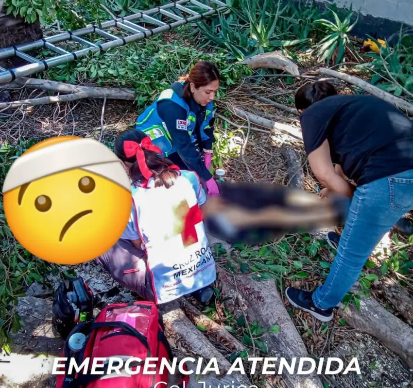 Adulto mayor resulta lesionado al caer mientras podaba un árbol en Jurica