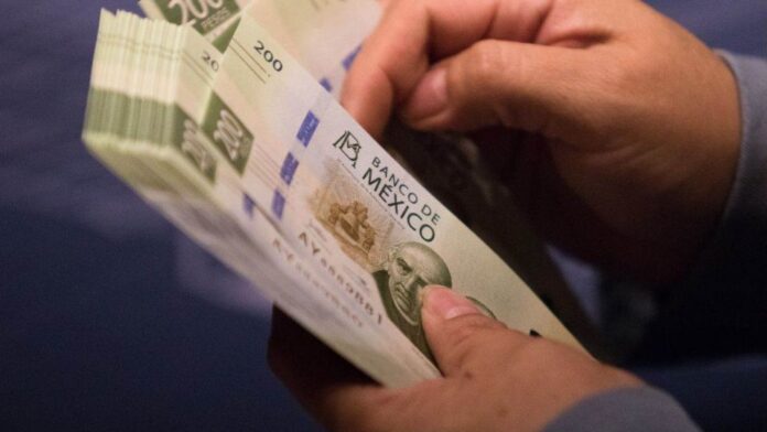 Bajaron ingresos por bienes y servicios: INEGI - Primero Editores