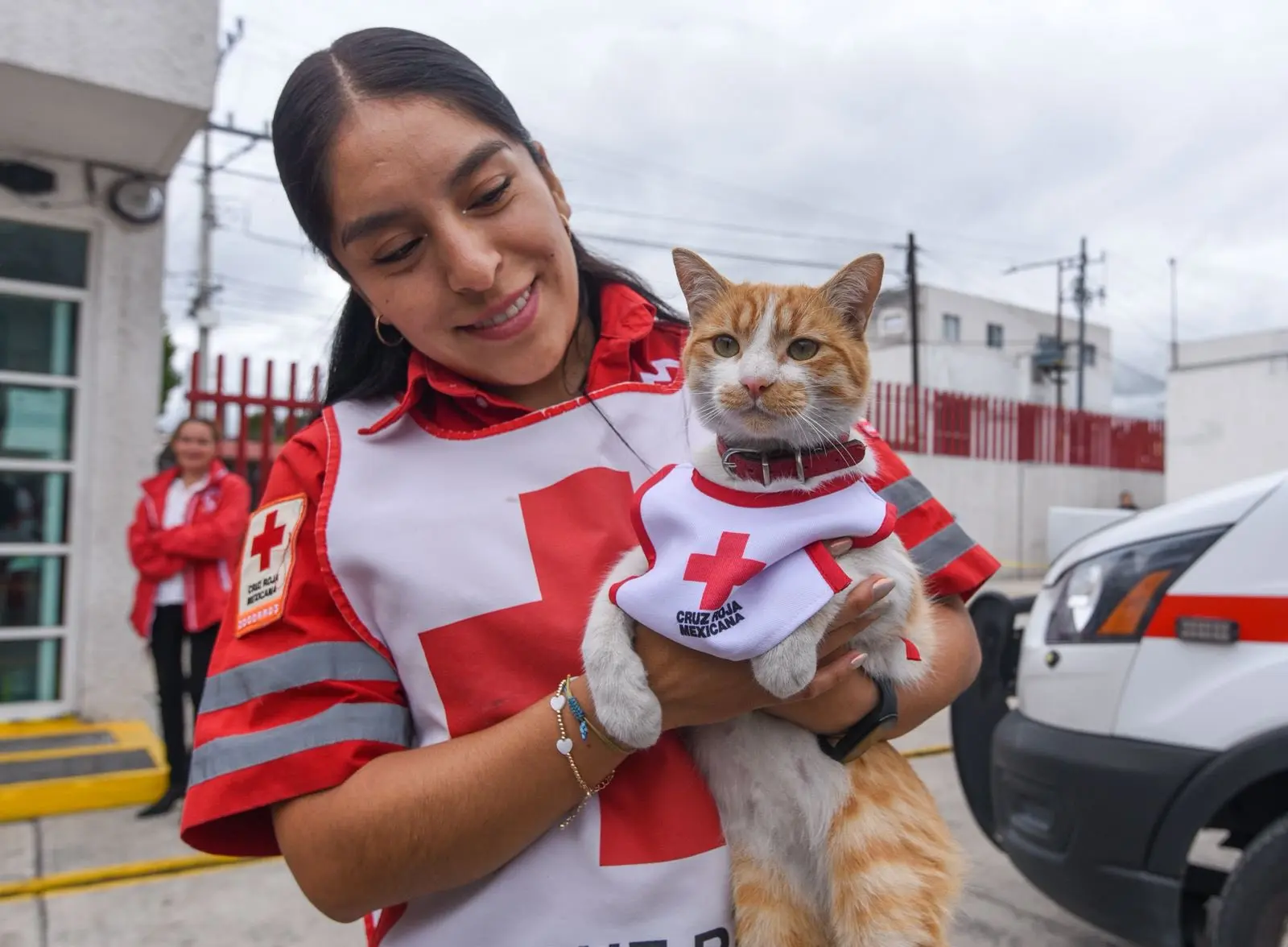 Conmemoró Cruz Roja Toluca el Día Internacional del Gato   Primero