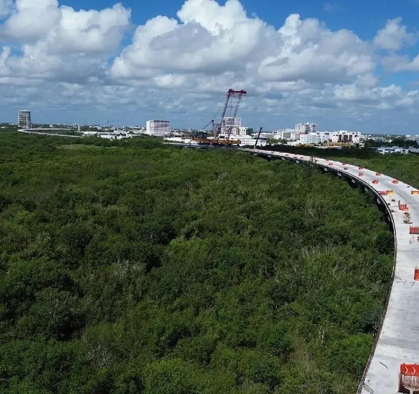 Cuidado ambiental en construcción del puente Nichupté ha permitido rescate y reubicación de 2 mil 125 especies