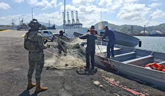 Decomisan más de 4 mil toneladas de pescado ilegal en seis meses