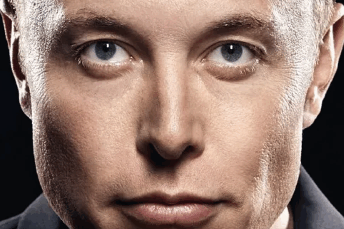 Elon Musk y el arte de gobernar en el caos: Un espejo para la ...