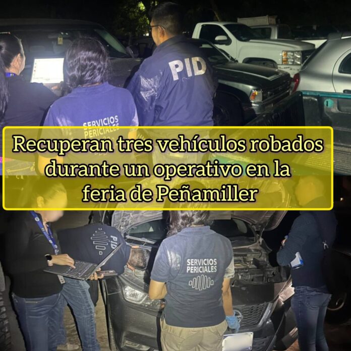Recuperan tres vehículos robados durante un operativo en la feria ...