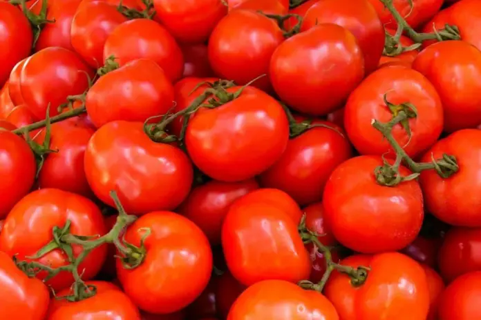 Fijan precios mínimos de exportación para el tomate fresco - INFOPODER