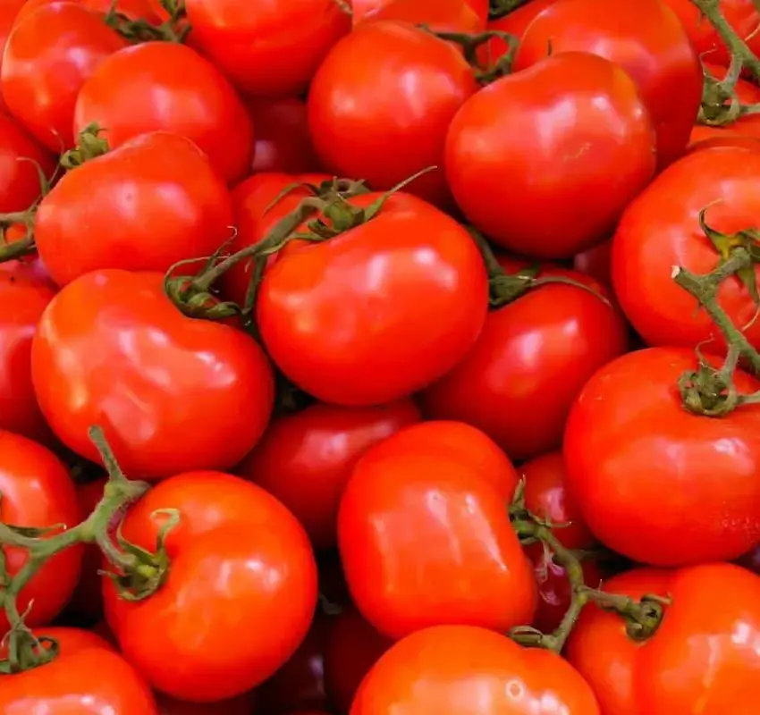 Fijan precios mínimos de exportación para el tomate fresco