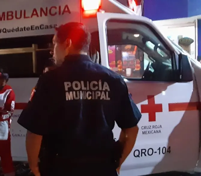 Grave septuagenaria que fue atacada por un Pitbull   Noticias de