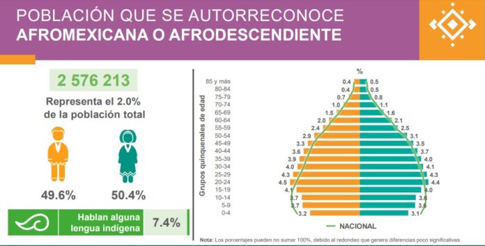 Visibilizar a las niñas y a las mujeres afrodescendientes ...