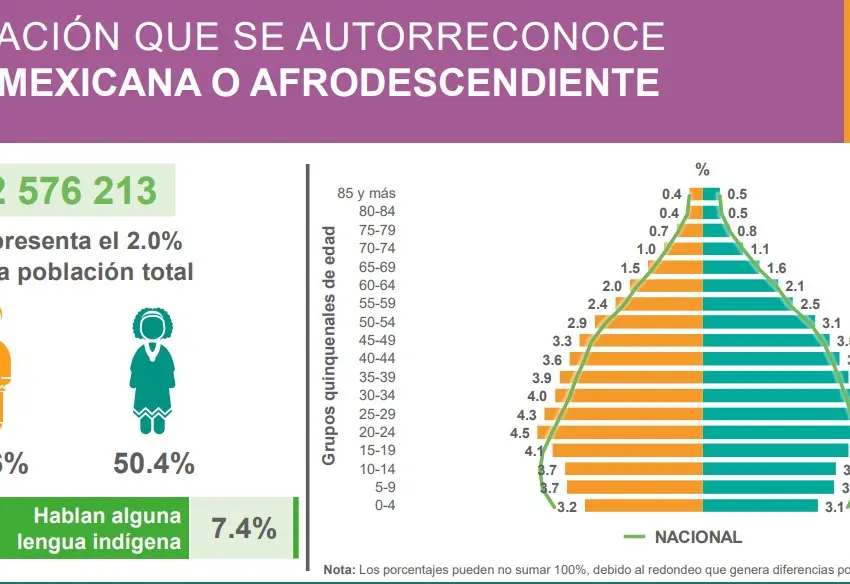 Hay 31 millones de afrodescendientes en México: INEGI