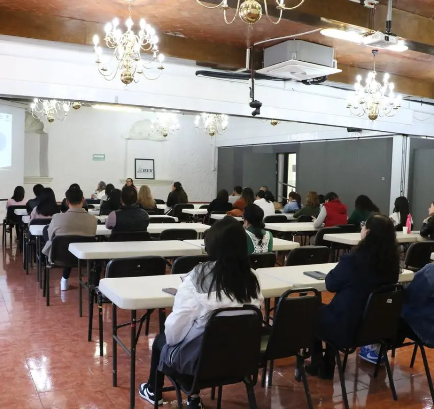 IEEM abordó la importancia de la salud mental en la lactancia