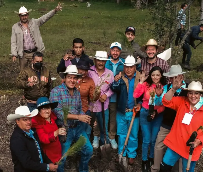 Jornada de reforestación en Almoloya de Juárez